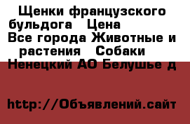 Щенки французского бульдога › Цена ­ 30 000 - Все города Животные и растения » Собаки   . Ненецкий АО,Белушье д.